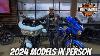 Harley Davidson 2024 Models In Person