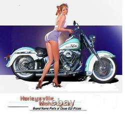 Paughco 40 Spoke 16 x 3 Chrome Front Wheel Harley Softail Dyna 1984-99 225-S40F